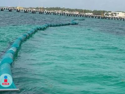 Inicia la colocación de barreras anti sargazo en Playa del Carmen